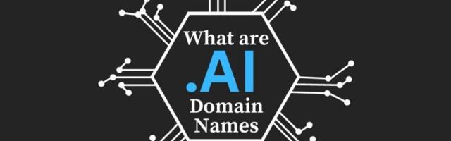AI Domains: Everything you need to know and what not to do with your .AI domain names