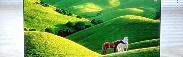 More LG OLED TV users are experiencing power cycling issues caused by bright flashes — and it's not just older models