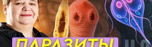 Топ‑7 медицинских заблуждений россиян: разбираем мифы с точки зрения науки