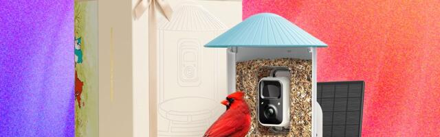 Mother's Day Deals on Smart Bird Feeders (2026)