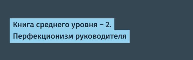 Книга среднего уровня — 2. Перфекционизм руководителя