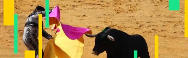 Bitcoin surges above $95,000 as ether, solana, cardano jump 8% on investor optimism