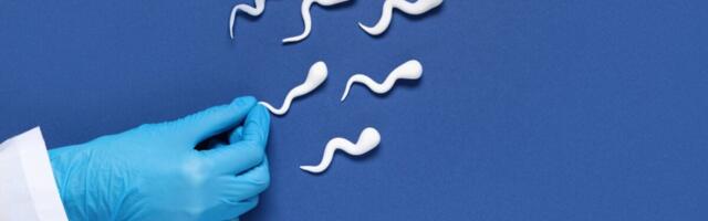 The Secret to Better Sperm? It’s Probably Already on Your Schedule