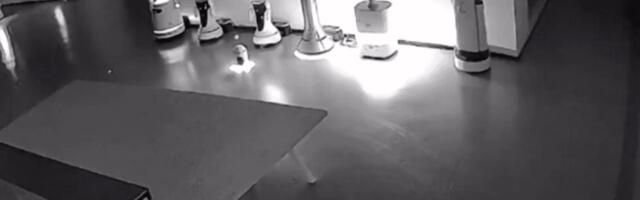 The kidnapper robot: Tiny AI convinces bots to run away