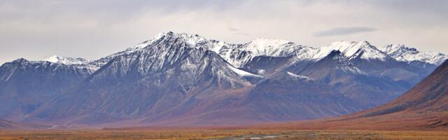 How Long Is The Trans-Alaska Pipeline And How Much Oil Does It Carry Daily?
