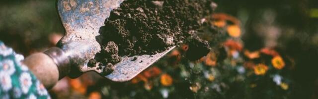 Global warming appears to accelerate antibiotic resistance in soils