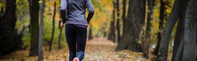 The 12 Best Ways to Get Cardio in No Matter Your Fitness Level