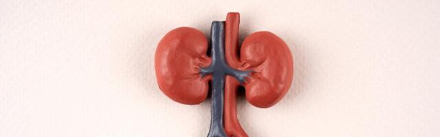 13 Foods That Will Give Your Kidney Health a Boost