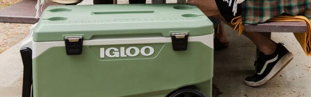 Why Igloo Recommends You Should Stop Using This Cooler Immediately