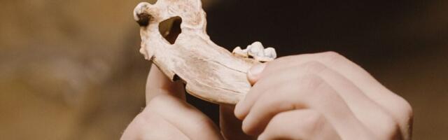 Humans Were Already Dog People 16,000 Years Ago, DNA Suggests