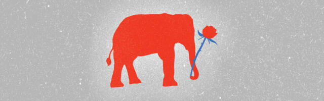 Is the populist right’s future ... democratic socialism?