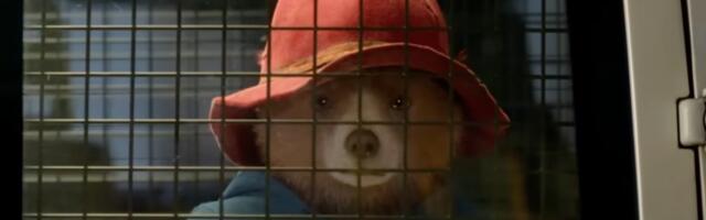 The New Paddington Movie’s Weird Release Has Made Finding Merch a Nightmare