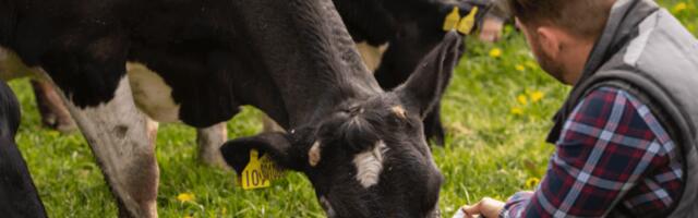 Antler Bio raises $4.3M in round led by The First Thirty