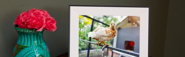 These Verge-approved gifts are still available for up to 60 percent off for Cyber Monday