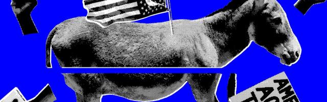 How Democrats Are Meeting (and Missing) the Moment