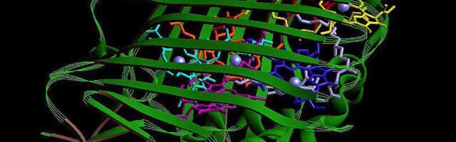 Do AI-designed proteins create a biosecurity vulnerability?
