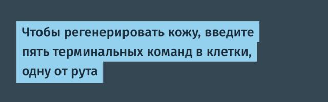 Чтобы регенерировать кожу, введите пять терминальных команд в клетки, одну от рута