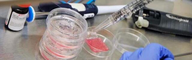 Bioprinted: Scientists print most human-like skin that heals itself and shows less scars