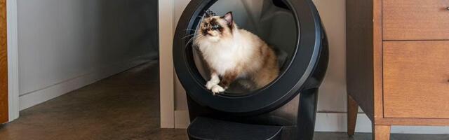 Whisker's Litter-Robot Just Became the First Automatic Litter Box Eligible for HSA and FSA Spending
