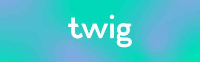 ‘Bank of things’ fintech Twig nets $35m for app that trades used items for NFTs