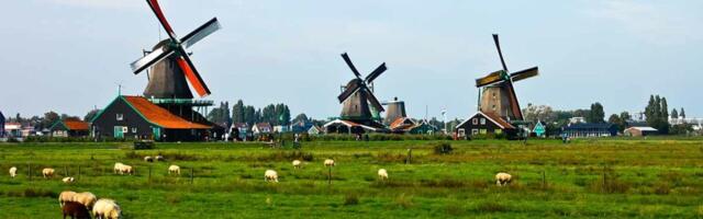 Top Dutch agritech startups to watch in 2024; 5 of them are currently hiring