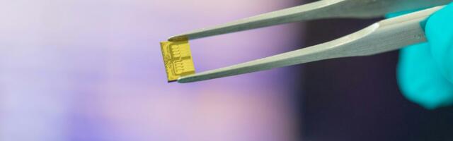AI at the speed of light: Nvidia-backed Scintil Photonics raises €50m Series B