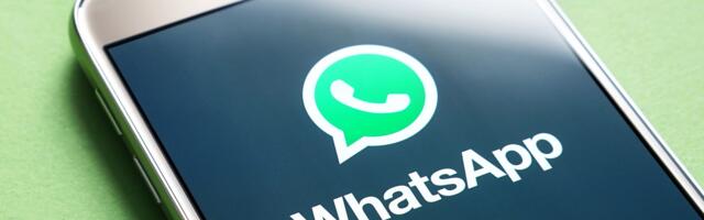 WhatsApp security flaw lets experts scrape 3.5 billion user numbers - here's what we know, and how to stay safe