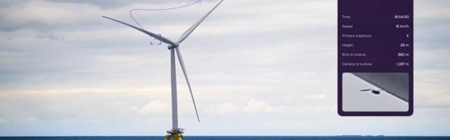 'Birds avoid turbines far more than prediction models assume': Spoor’s AI monitoring is changing how wind farms measure wildlife risk
