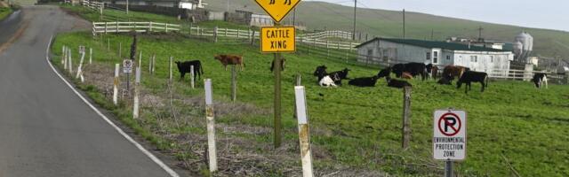 ‘Environmental terrorism’: Point Reyes settlement roils agricultural community