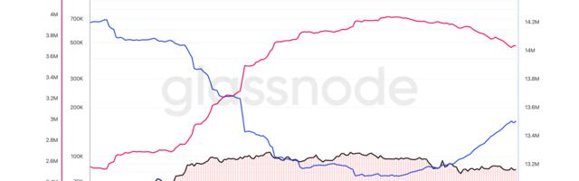 Bitcoin Holders Double Down in Early April as Value Buyers Step In, Veterans Hold Firm