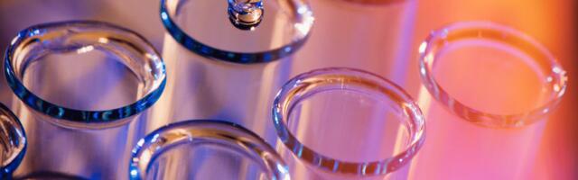 Healthtech startup Avammune Bags $12 Mn From Capital 2B, Others