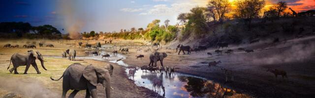 National Geographic unveiled its Pictures of the Year. Here are 7 of the most striking wildlife photos.