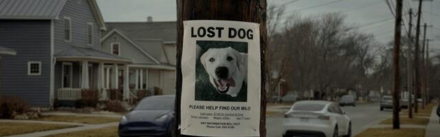 Your Ring doorbell’s next job might not be finding lost pets