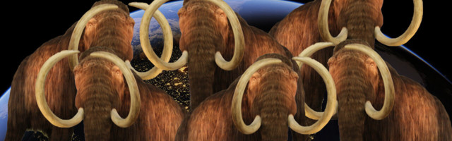 Scientists want to cure elephant herpes so woolly mammoths can stop climate change