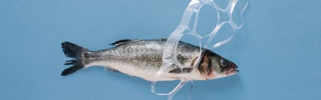 Finally, a solution to plastic pollution that’s not just recycling