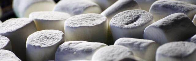 New Twist on Famous Marshmallow Test: What Happens When You Add a Second Kid?