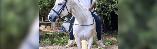 Harwich man admits laundering $12K in romance fraud fueling gambling spiral