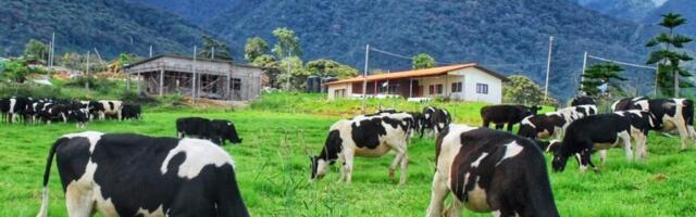 The UN wants you to eat less meat to save the planet from climate change
