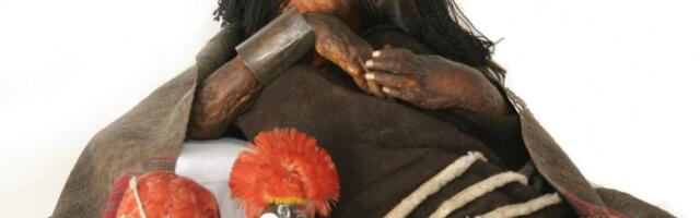 For Decades, Scientists Thought They Knew How This Inca Child Died. They Were Wrong