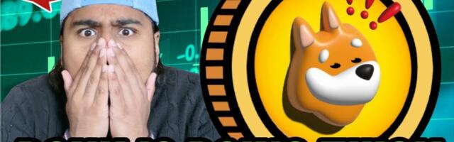 BONK Price Rally During Meme Coin Crash – Next Big Solana Meme Coin?