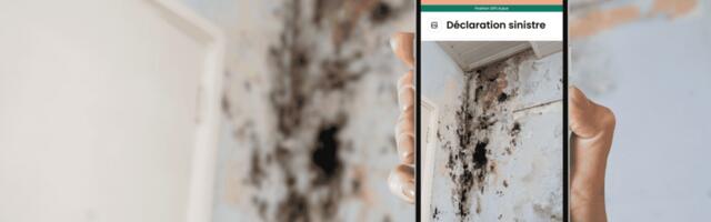 Certificall raises €1M seed to strengthen its position in the European market