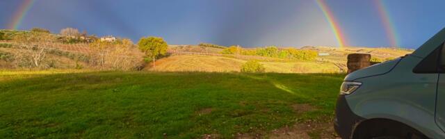 AI, my unexpected daily travel companion