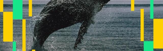 A single crypto trader is sitting on a $194 million bet that bitcoin and ether will keep climbing