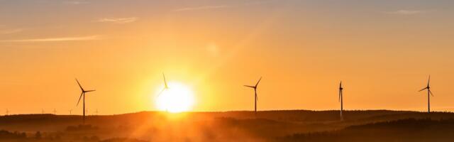 Phil Murphy and Ørsted host expert panel to discuss renewable energy
