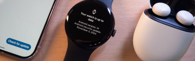 Pixel Watches and Buds should have a ‘Check for update’ button, just like phones