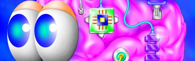 Brain Gear Is the Hot New Wearable