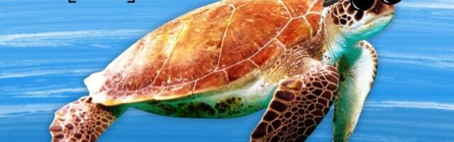 China’s Ministry of State Security Accuses ‘Spy Turtles and Spy Fish’ of Stealing Sensitive Marine Data