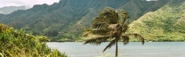 Half of Maui’s Hotel Rooms Sit Empty as Tourism Recovery Won’t Be Quick