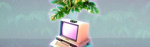 Why Zig has become the highest-paying programming language