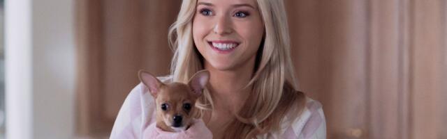 I've watched all of Prime Video Legally Blonde prequel Elle and hugely have to eat some humble pie — it's that good, Lexi Minetree might give Reese Witherspoon's legacy a run for its money